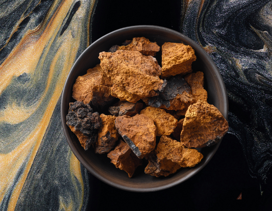 chaga adaptogene nootropes santé cérébrale et cognitive