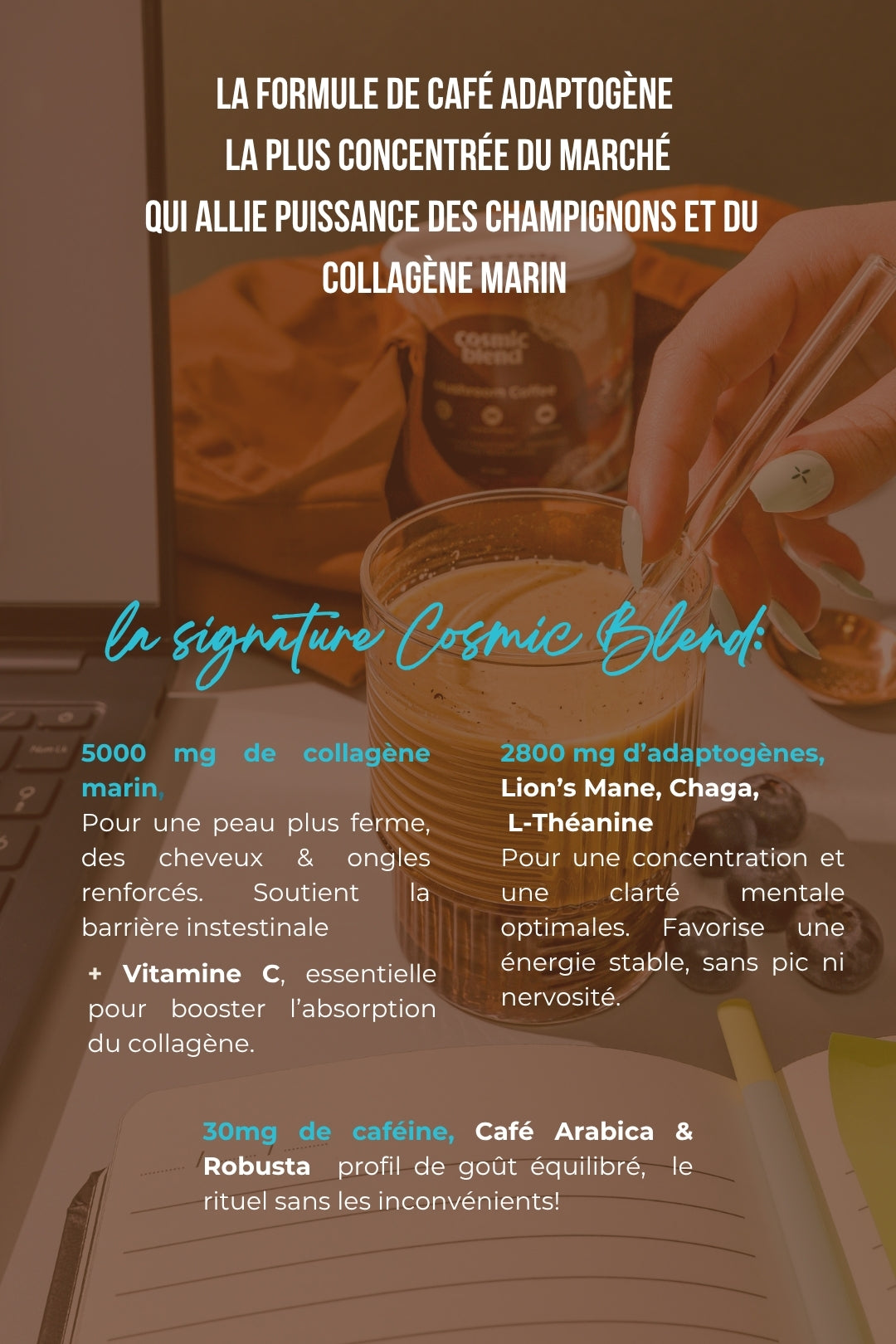 Mushroom Coffee: le Café enrichi aux Adaptogènes & Collagène
