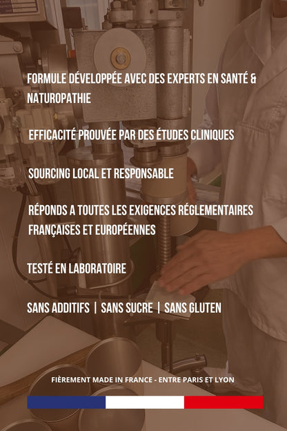 Mushroom Coffee: le Café enrichi aux Adaptogènes & Collagène