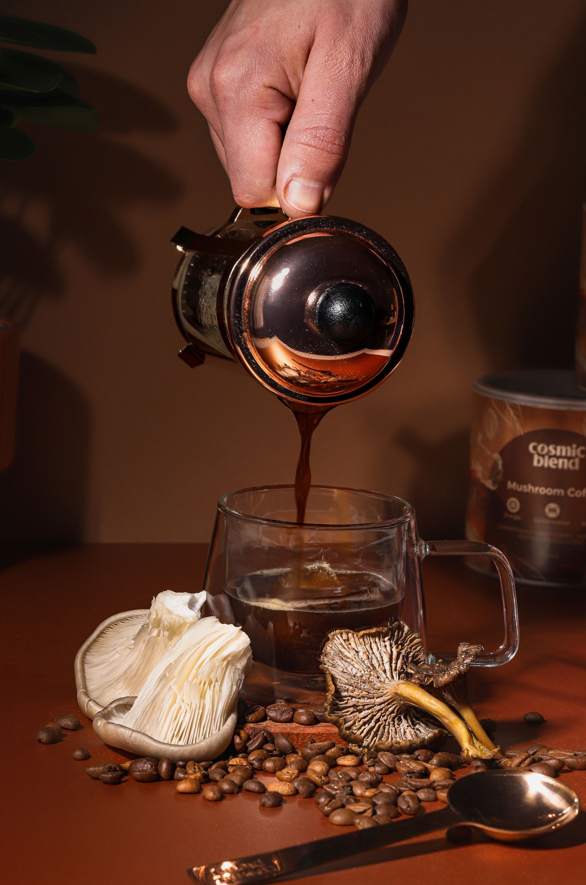 cafe adaptogene lions mane chaga theanine collagene