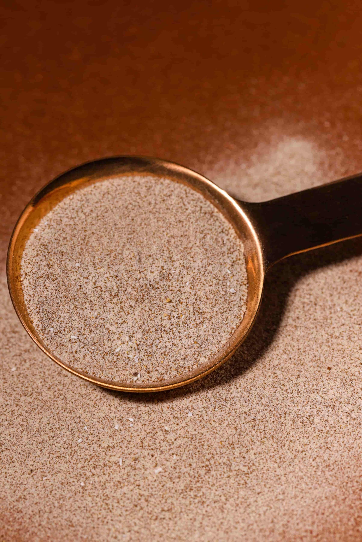 Mushroom Coffee: le Café enrichi aux Adaptogènes & Collagène